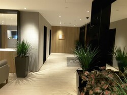 The Plaza (D7), Apartment #243959461